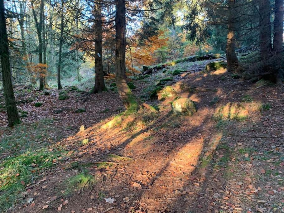 Jermerstein-Haeuschen Braunlage Εξωτερικό φωτογραφία